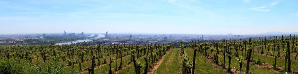 Panorama_Wien_Kahlenberg_2